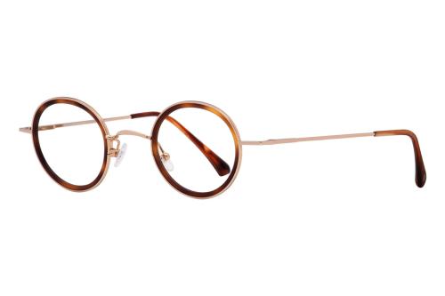 Prestige 2090 by Vuillet Vega, color 01 tortoise / gold